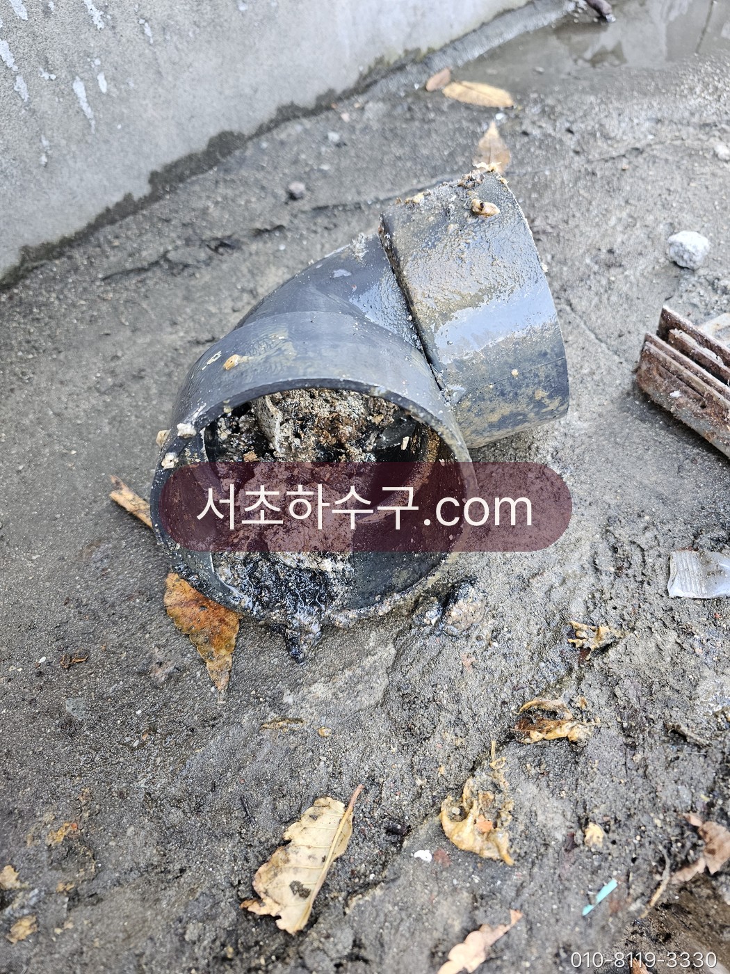 낙엽과 퇴적물로 막힌 외부 배수구