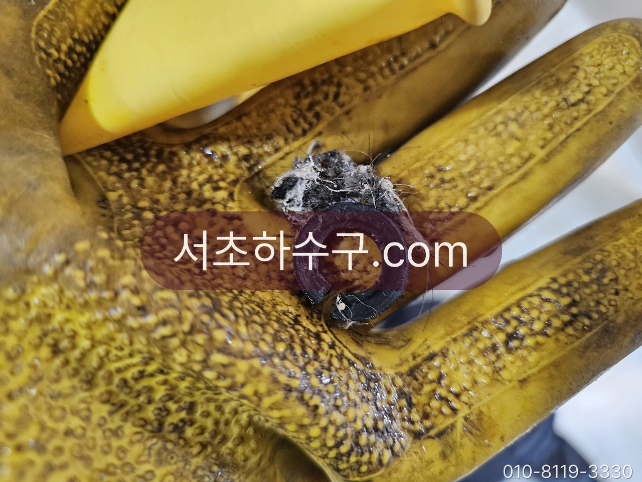 배수구 트랩에서 회수한 반지를 장갑 위에 올린 모습
